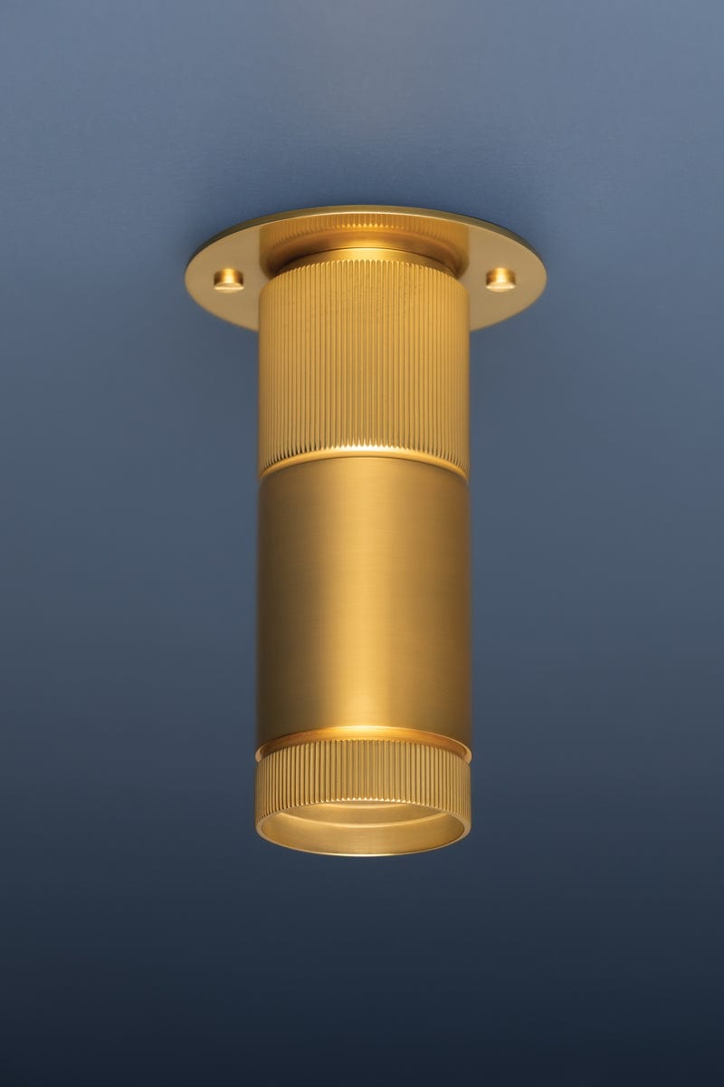 Dighton Flush Mount Flush Mount