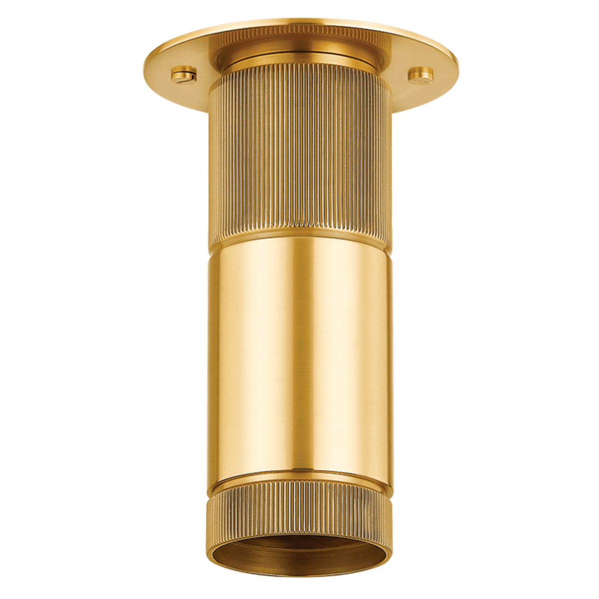 Dighton Flush Mount Flush Mount