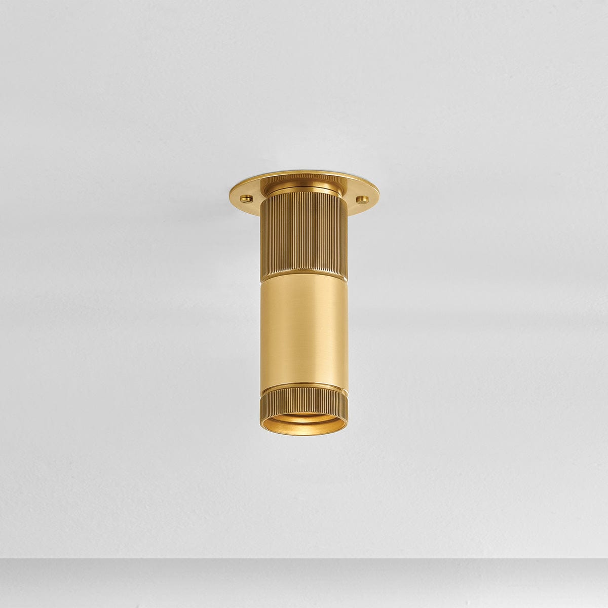 Dighton Flush Mount Flush Mount