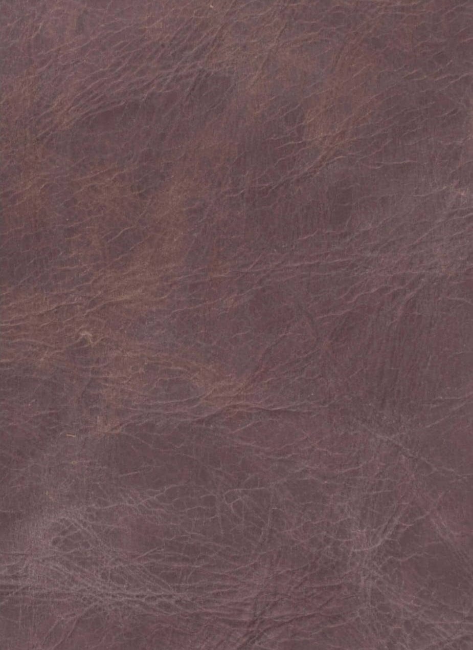 Dylan Counter + Bar Stool (Set of 2) Stool