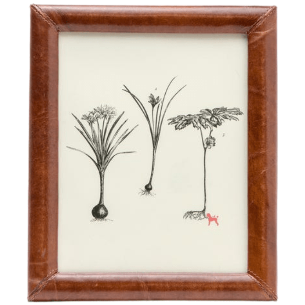 Eton Picture Frame Picture Frame 02ETON-8X10