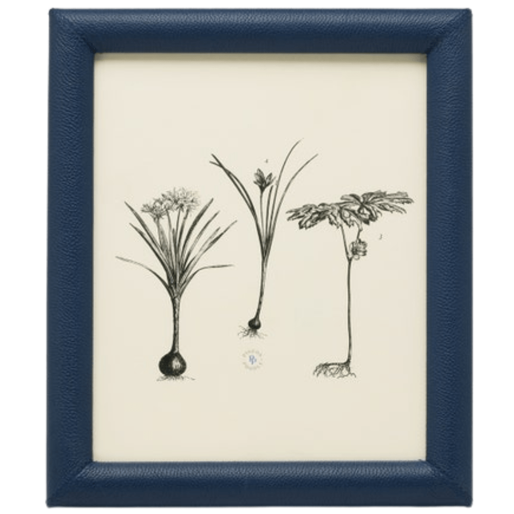 Eton Picture Frame Picture Frame 02ETON-NV-8X10