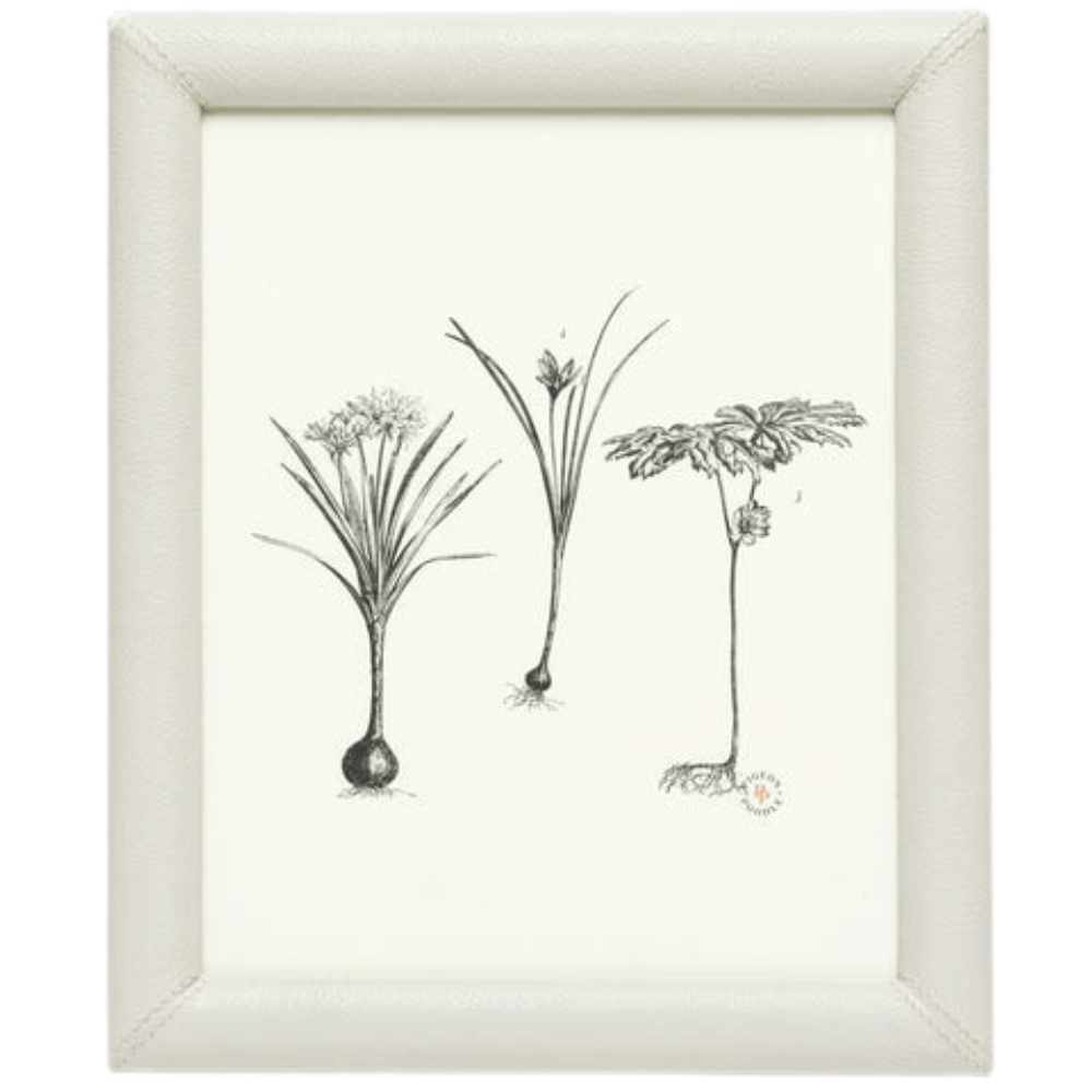 Eton Picture Frame Picture Frame 02ETON-WH-8X10