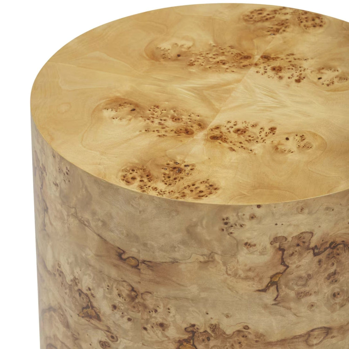 Figaro Natural Burl Drum Side Table Side Table TOV-OC54473