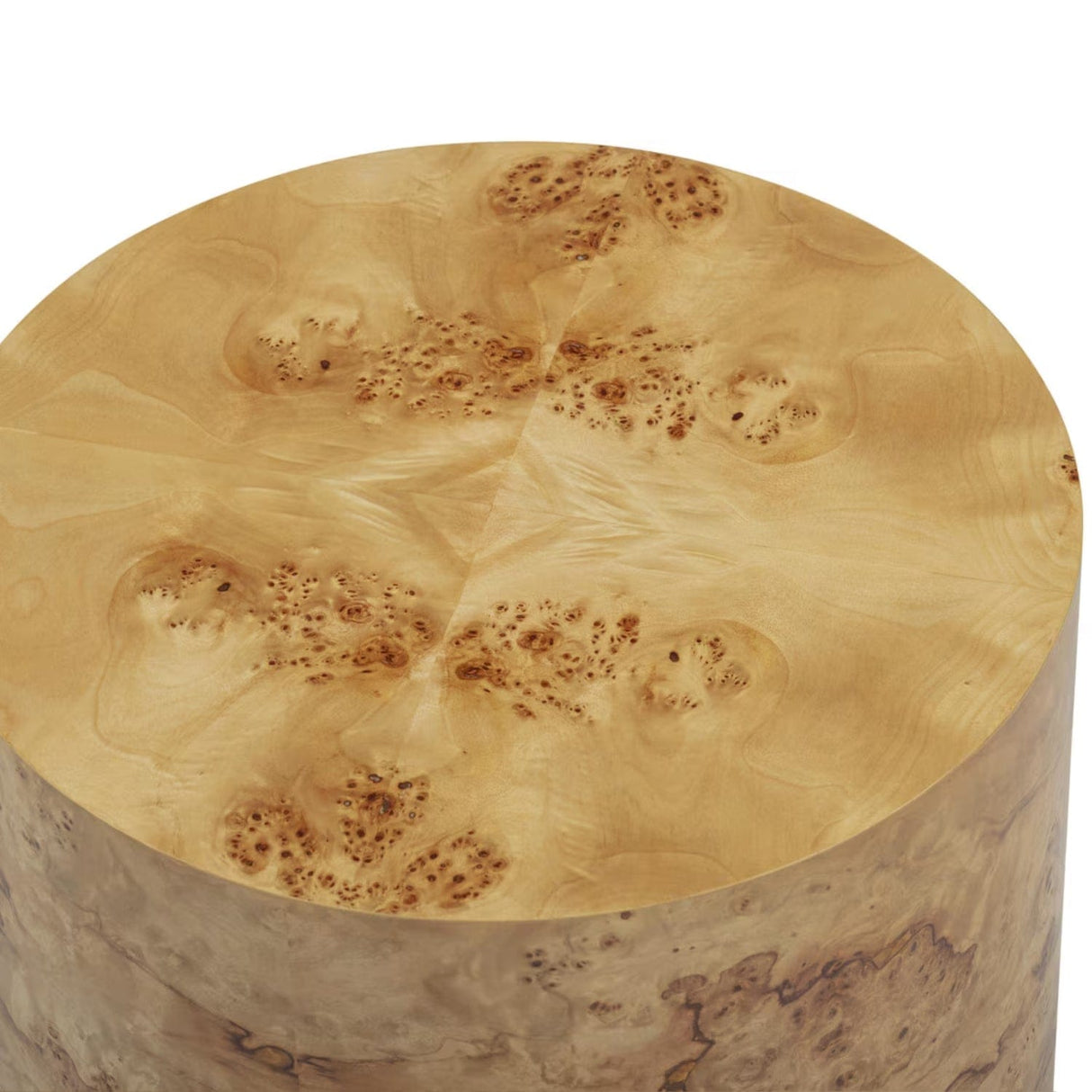 Figaro Natural Burl Drum Side Table Side Table TOV-OC54473