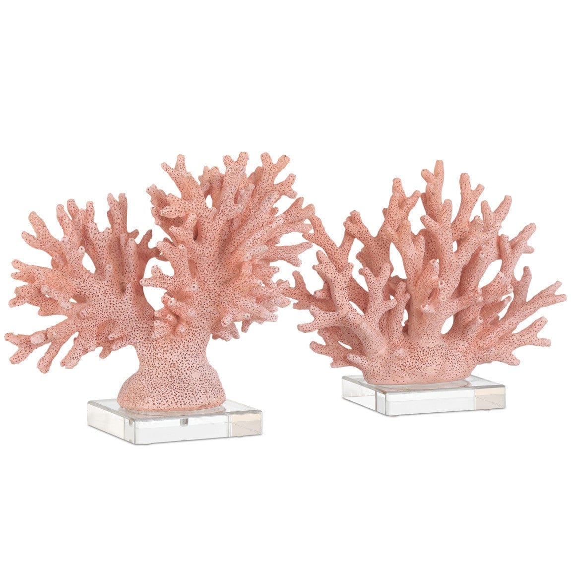 Fire Coral Sculptural Objects 1200-1082