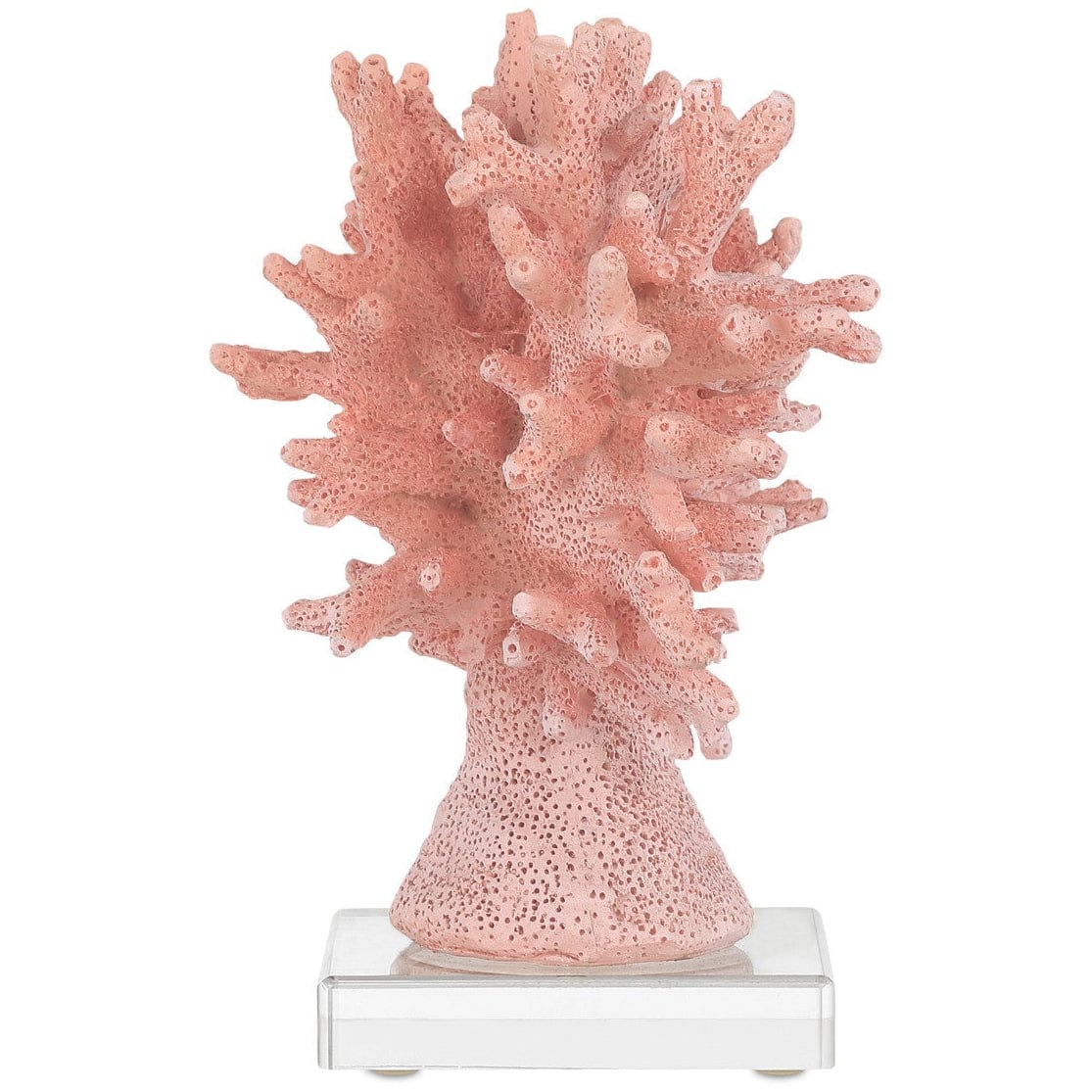 Fire Coral Sculptural Objects