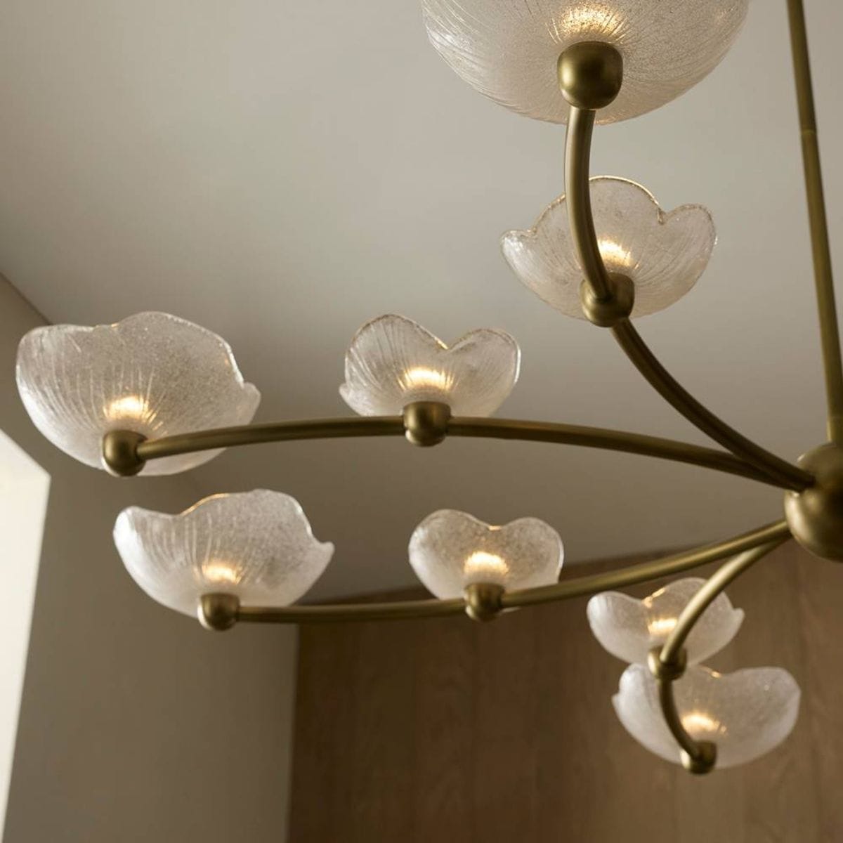 Fleurana Chandelier Chandeliers DLC51