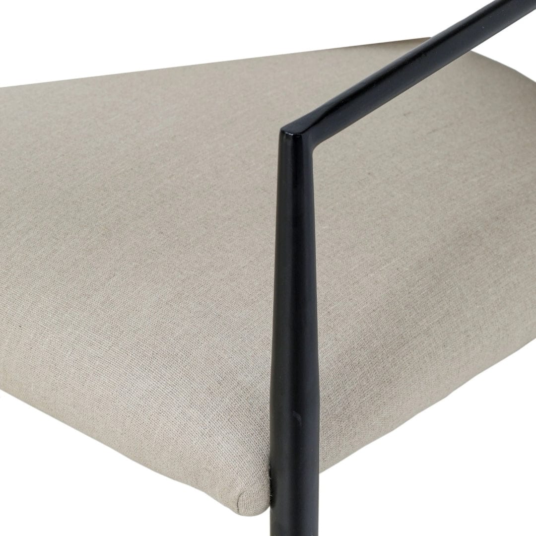 Forte Dining Chair Dining Chairs + Benches TOV-D18957 793580646460