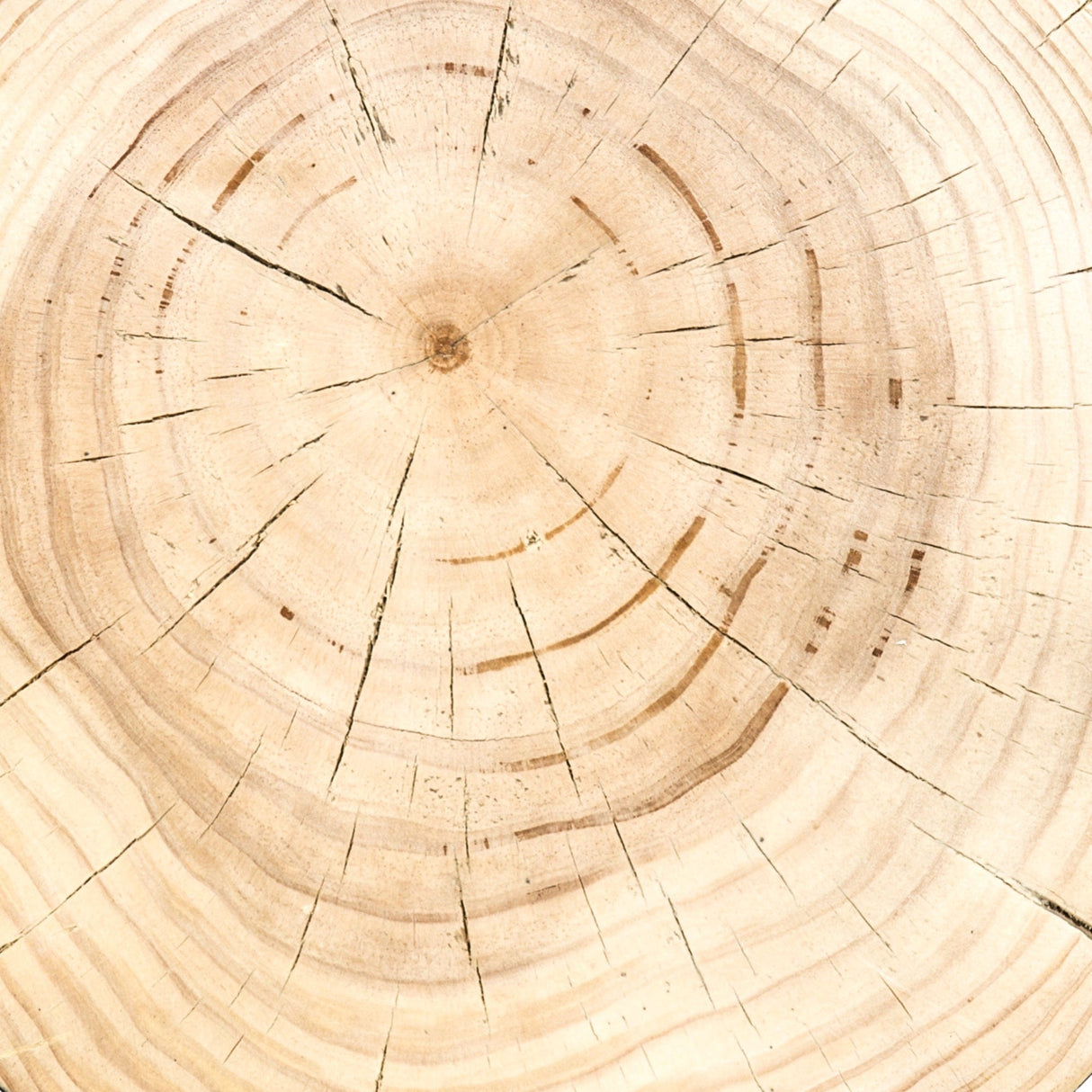 Four Hands Inez End Table End Table