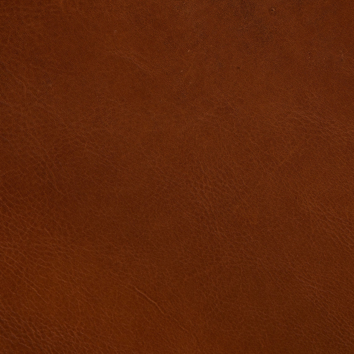 Four Hands Nino Ottoman Upholstered Dining Chair four-hands-233257-002 801542062330