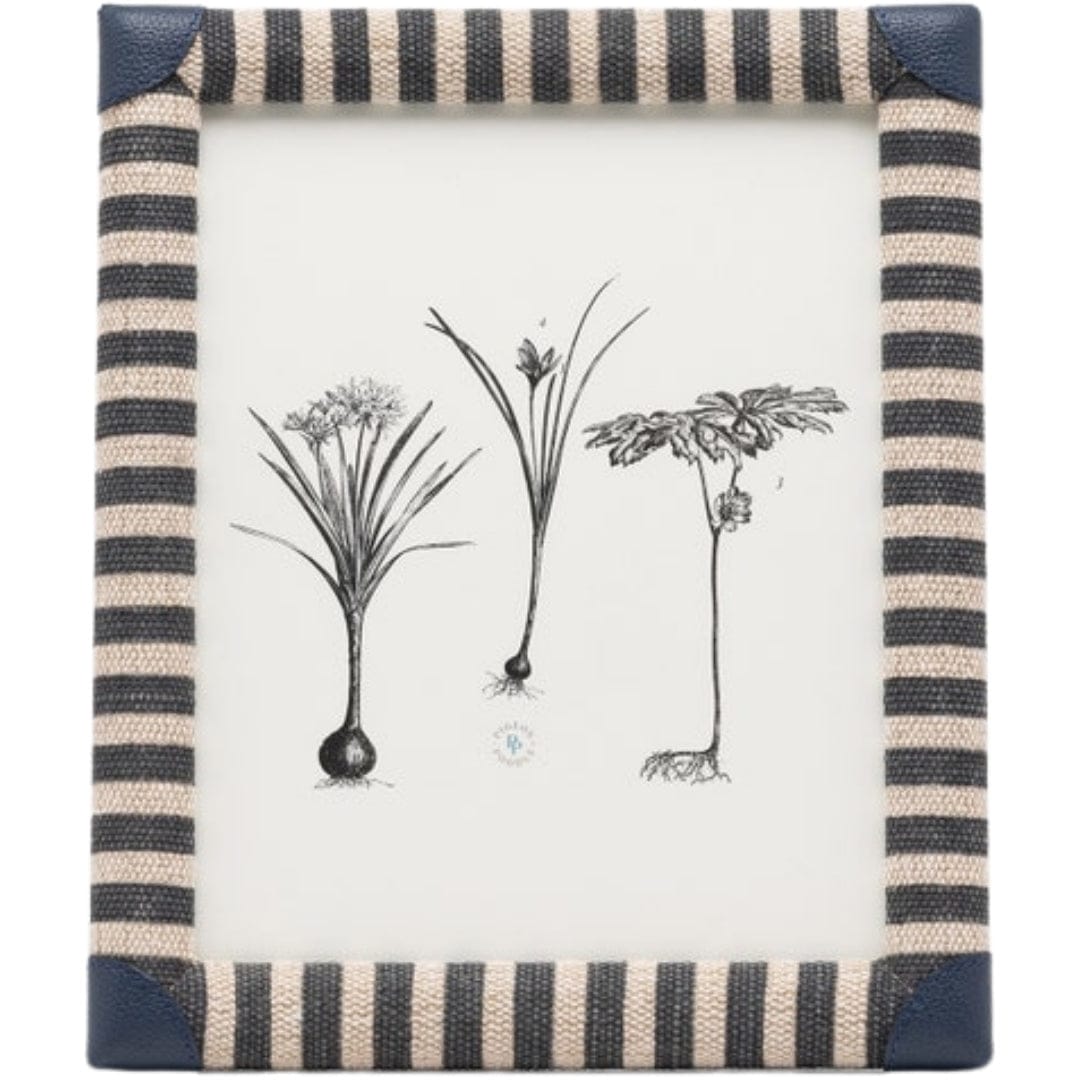 Franklin Picture Frame Picture Frames 02FRAN-NV-8X10