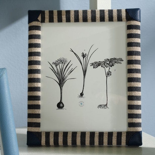 Franklin Picture Frame Picture Frames