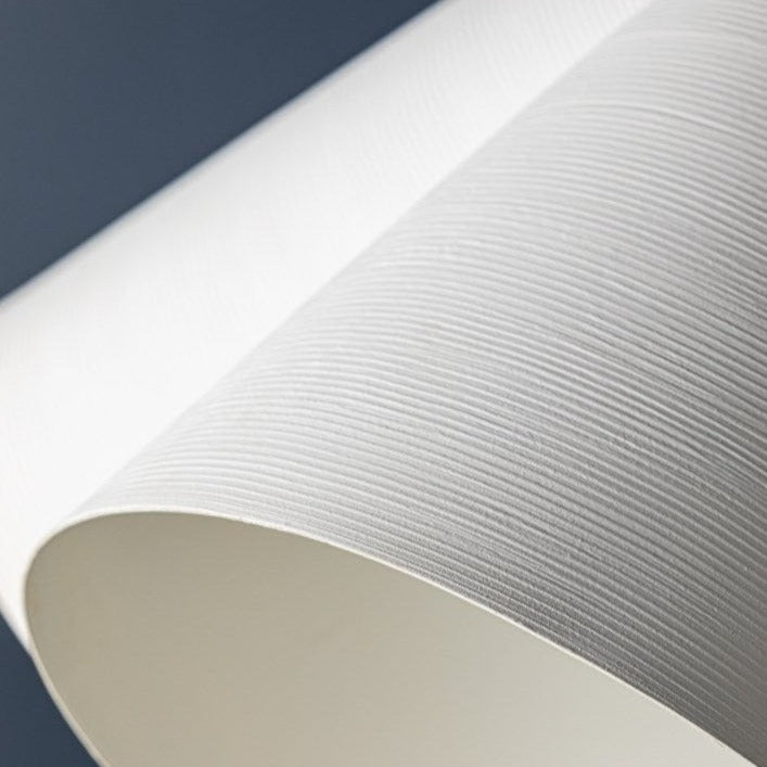 Hudson Valley Lighting Bronson Chandelier Chandeliers hudson-valley-BKO1502-AGB/WP 806134923792