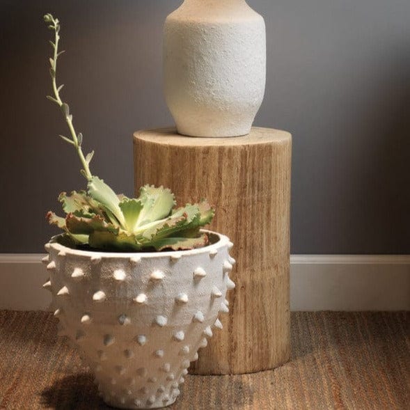 Jamie Young Co. Agave Side Table Furniture jamie-young-20AGAV-STWD 688933029956