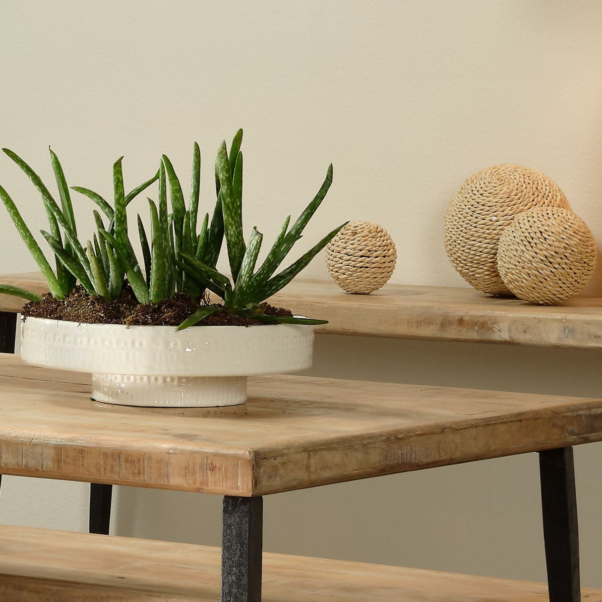 Jamie Young Co. Coco Pedestal - White Decor Jamie-Young-7COCO-PEWH 00688933012040