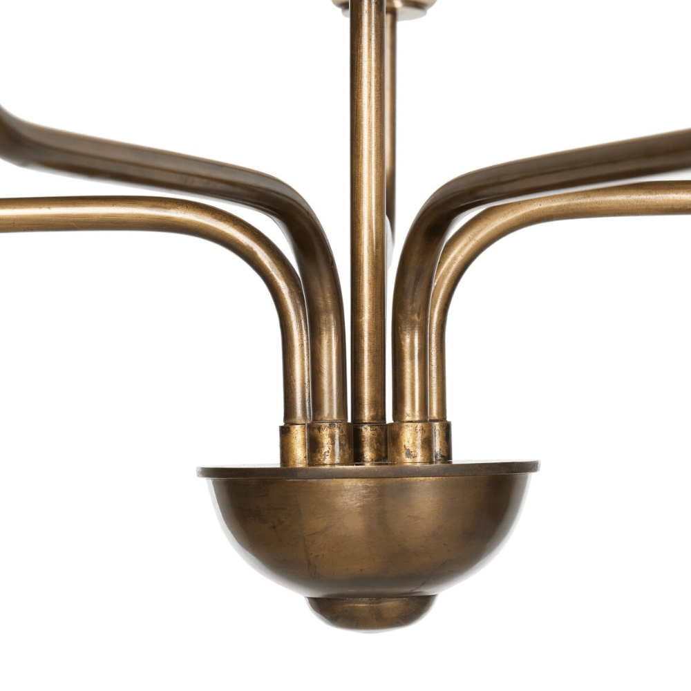 Jasmine Chandelier Chandelier 239944-001 801542342258