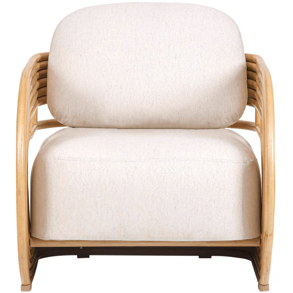 Jeanette Accent Chair Accent Chair TOV-S21028
