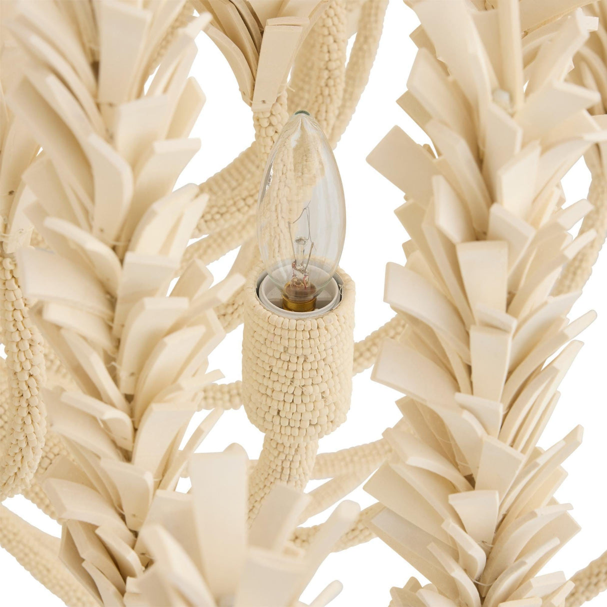 Kaia Chandelier Chandelier DMS20 796505704986