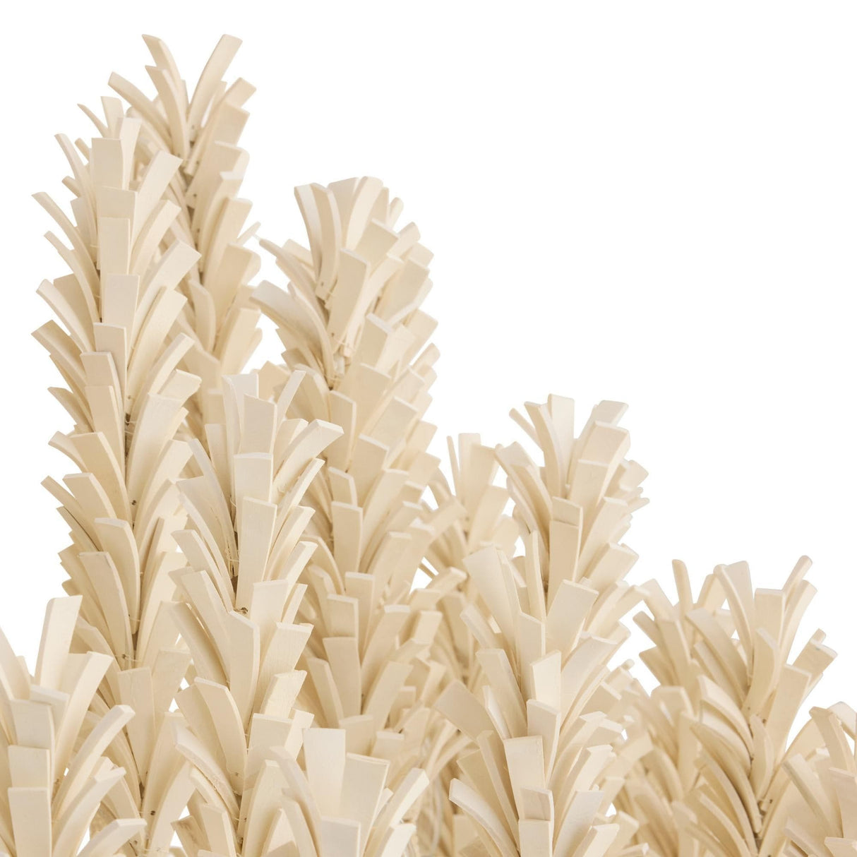 Kaia Chandelier Chandelier DMS20 796505704986