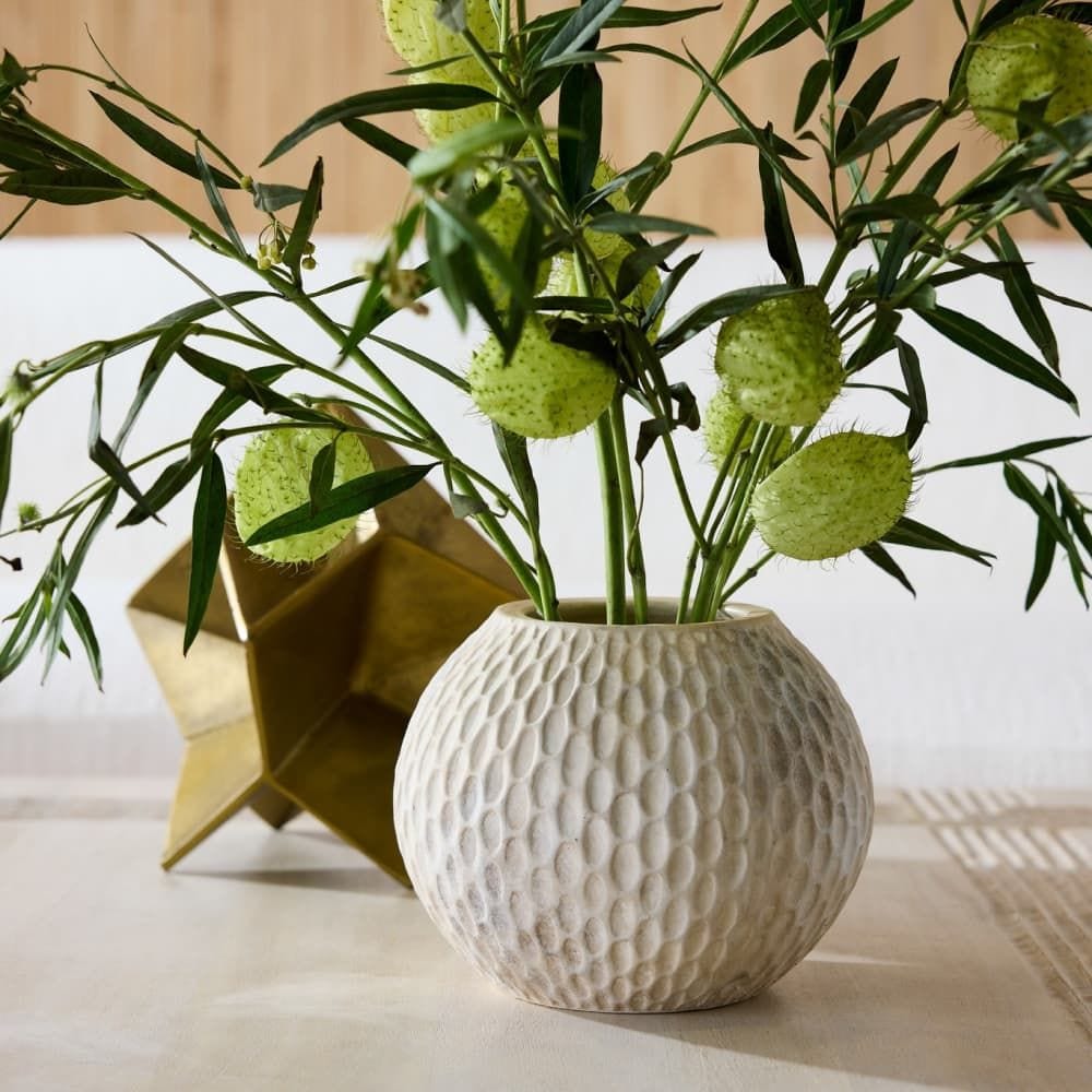 Kayli Vases (Set of 2) Vases AVS13