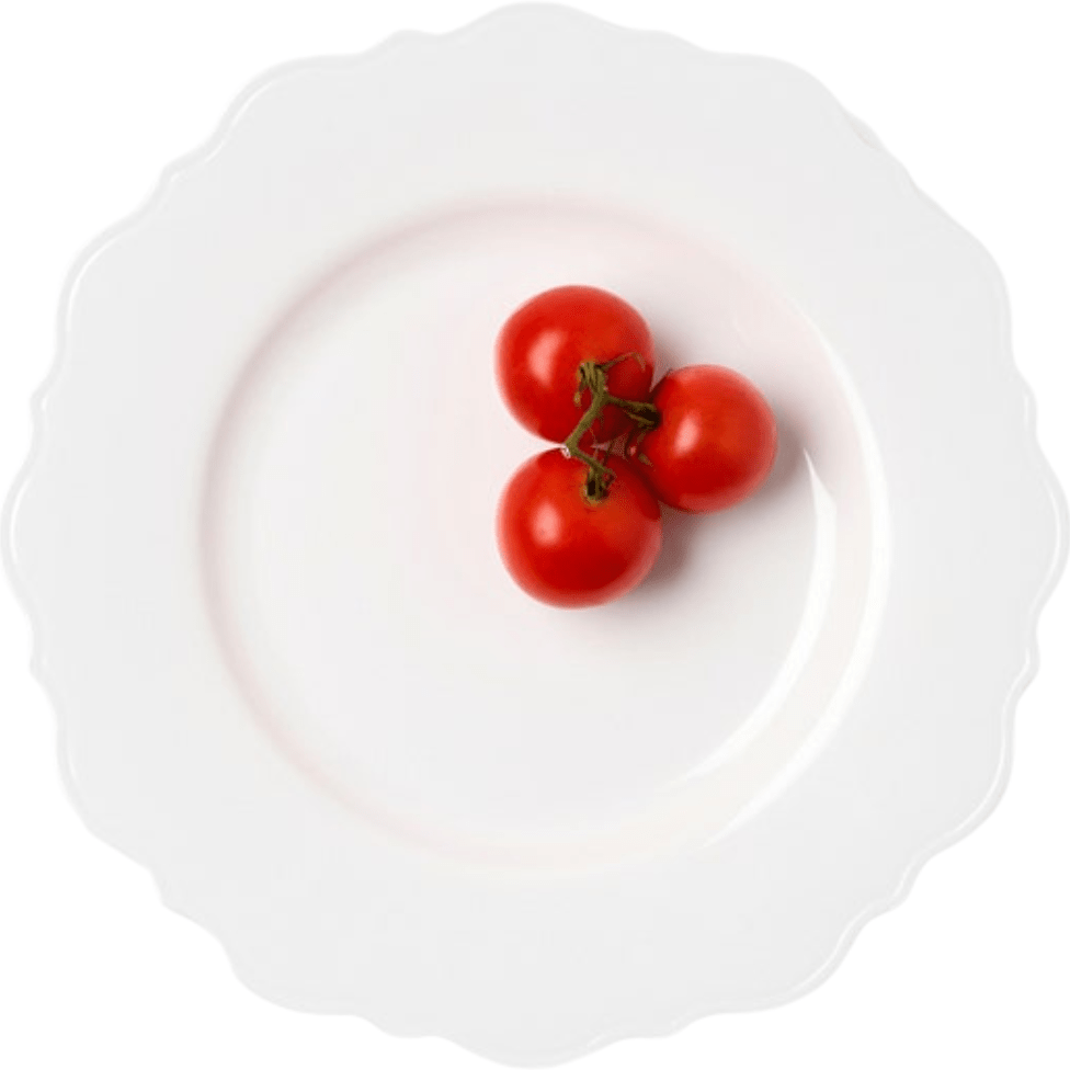 Laguna Dinnerware (Pack of 4) Dinnerware