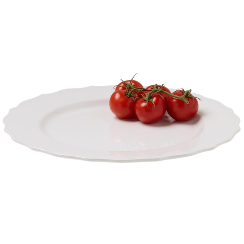 Laguna Oval Serving Platter (Pack of 2) Serveware