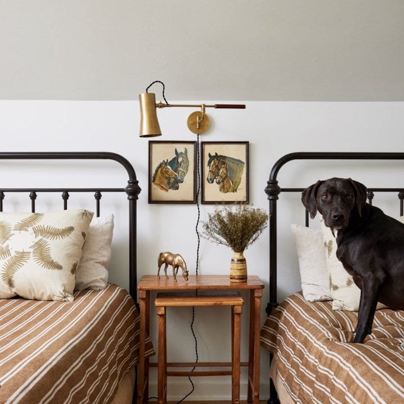 Lauren Liess Novel Plug-In Sconce Pendants