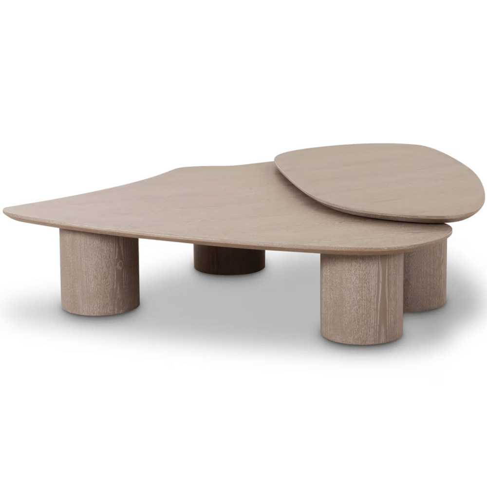 Leora Coffee Table Set Coffee Table TOV-OC69083-84