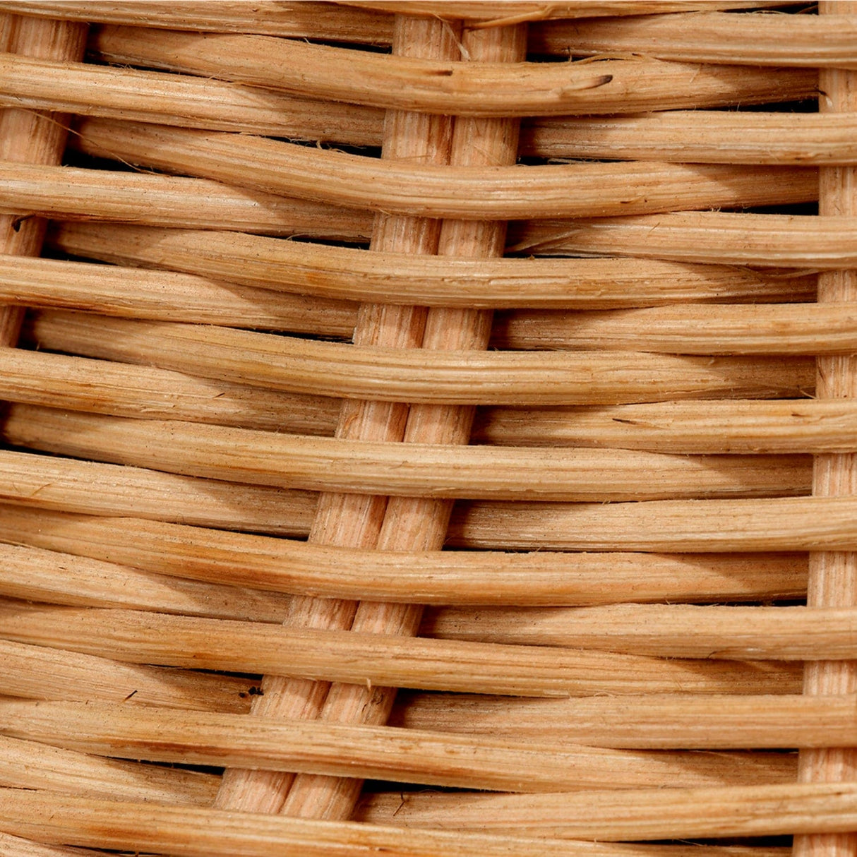 Lighting by BLU Walden Table Lamp Table Lamps jamie-young-LS9WALDENTLN 688933038835