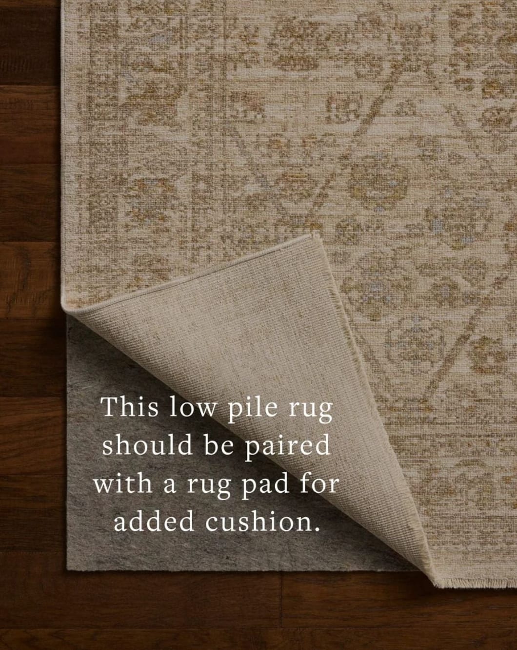 Elora Rug Area Rugs