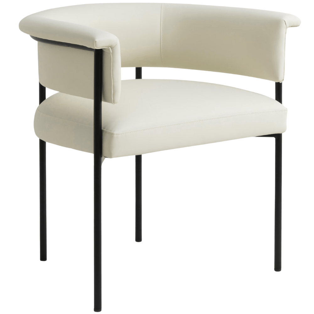 Loretta Dining Chair Dining Chair TOV-D54479 793580641625