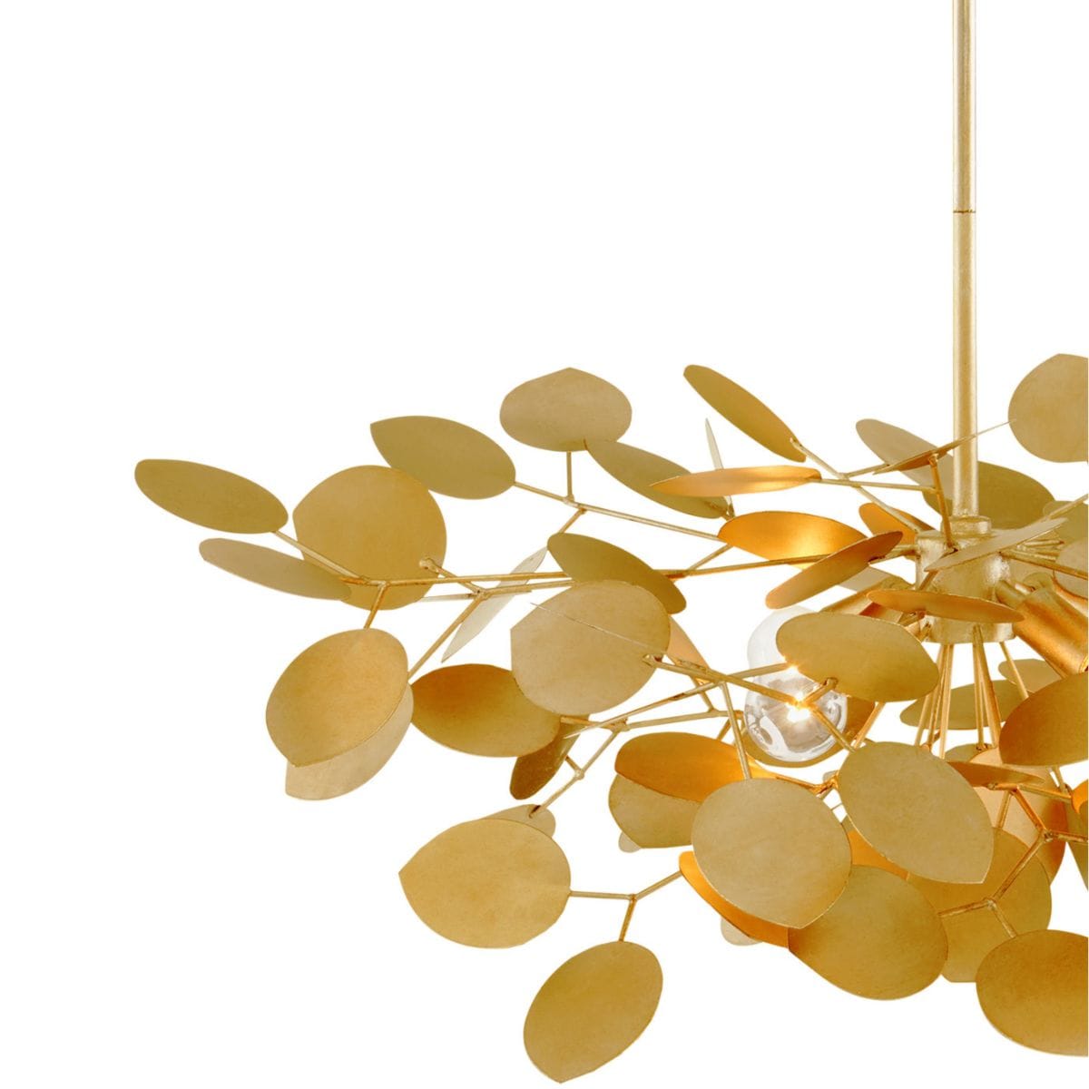 Lunaria Chandelier Chandeliers