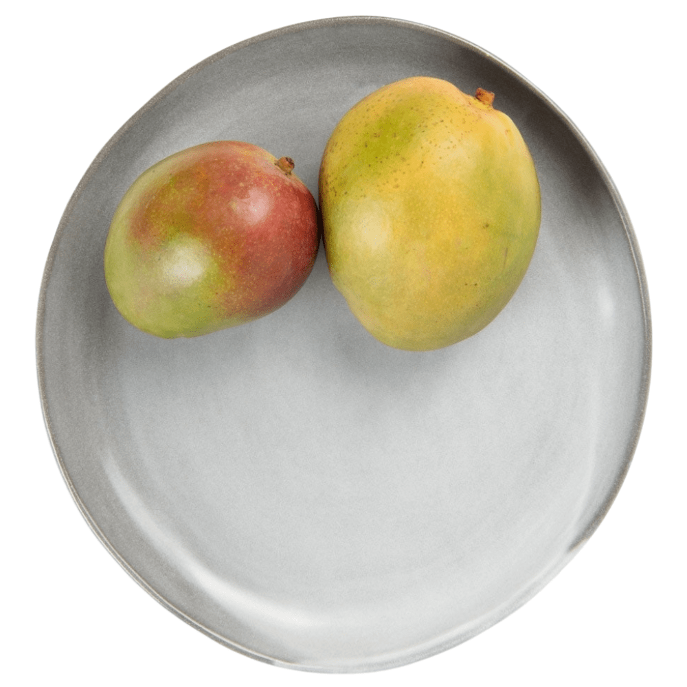 Marcus Cement Glaze Dinnerware (Pack of 4) Dinnerware