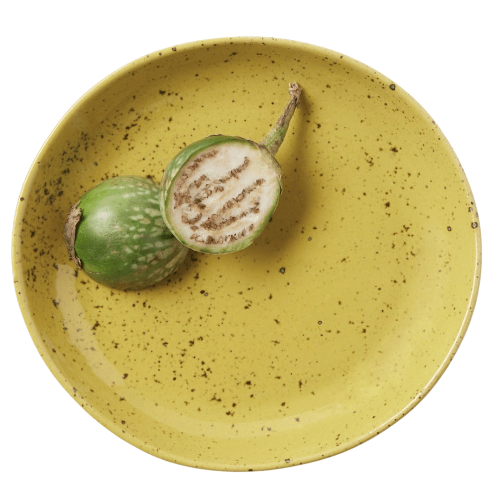 Marcus Chartreuse Salt Glaze Dinnerware (Pack of 4) Dinnerware