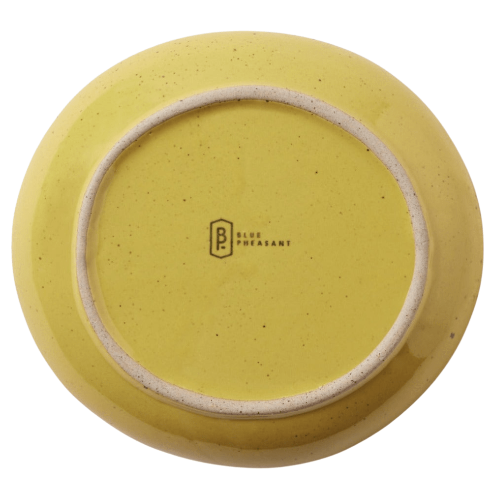 Marcus Chartreuse Salt Glaze Dinnerware (Pack of 4) Dinnerware