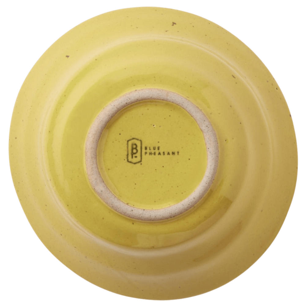 Marcus Chartreuse Salt Glaze Dinnerware (Pack of 4) Dinnerware