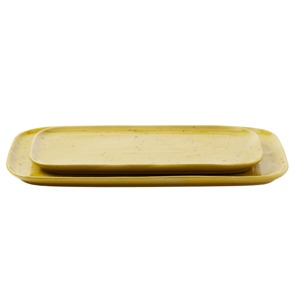 Marcus Rectangular Serving Platters (Set of 2) Serveware SERMARCU-CHAR-RSP 08415971042867