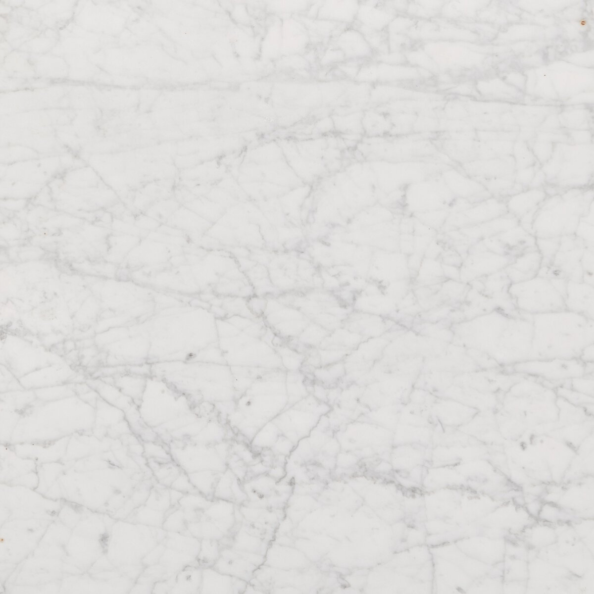 Masera Marble Coffee Table Coffee Table 241862-001 801542316624