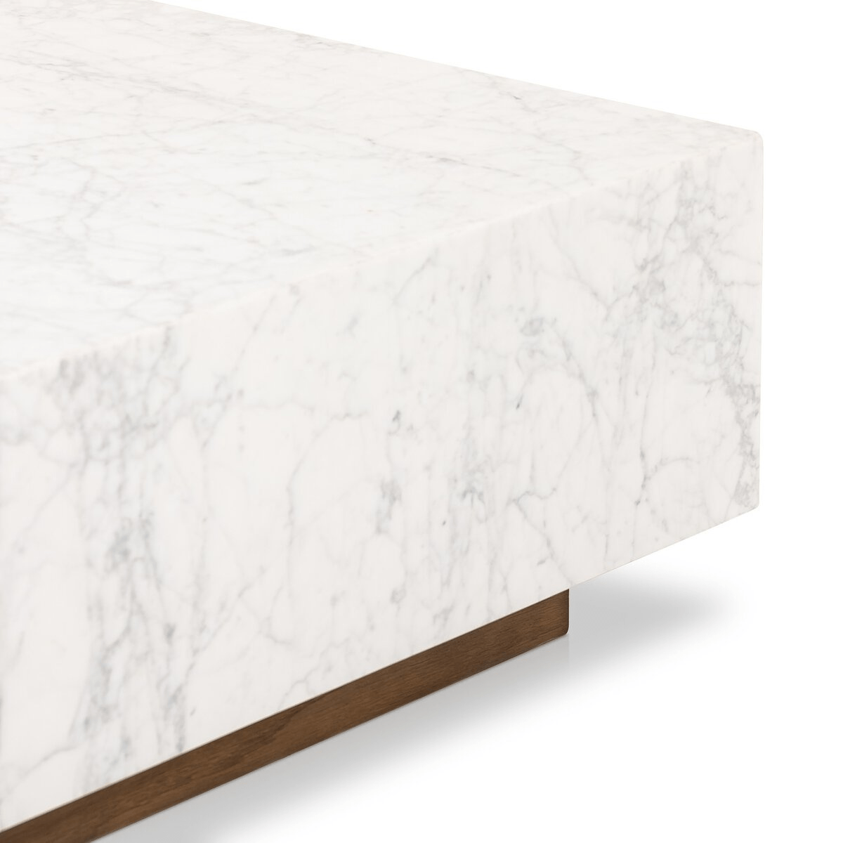 Masera Marble Coffee Table Coffee Table 241862-001 801542316624