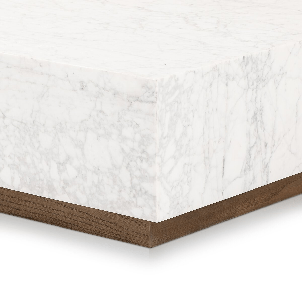 Masera Marble Coffee Table Coffee Table 241862-001 801542316624