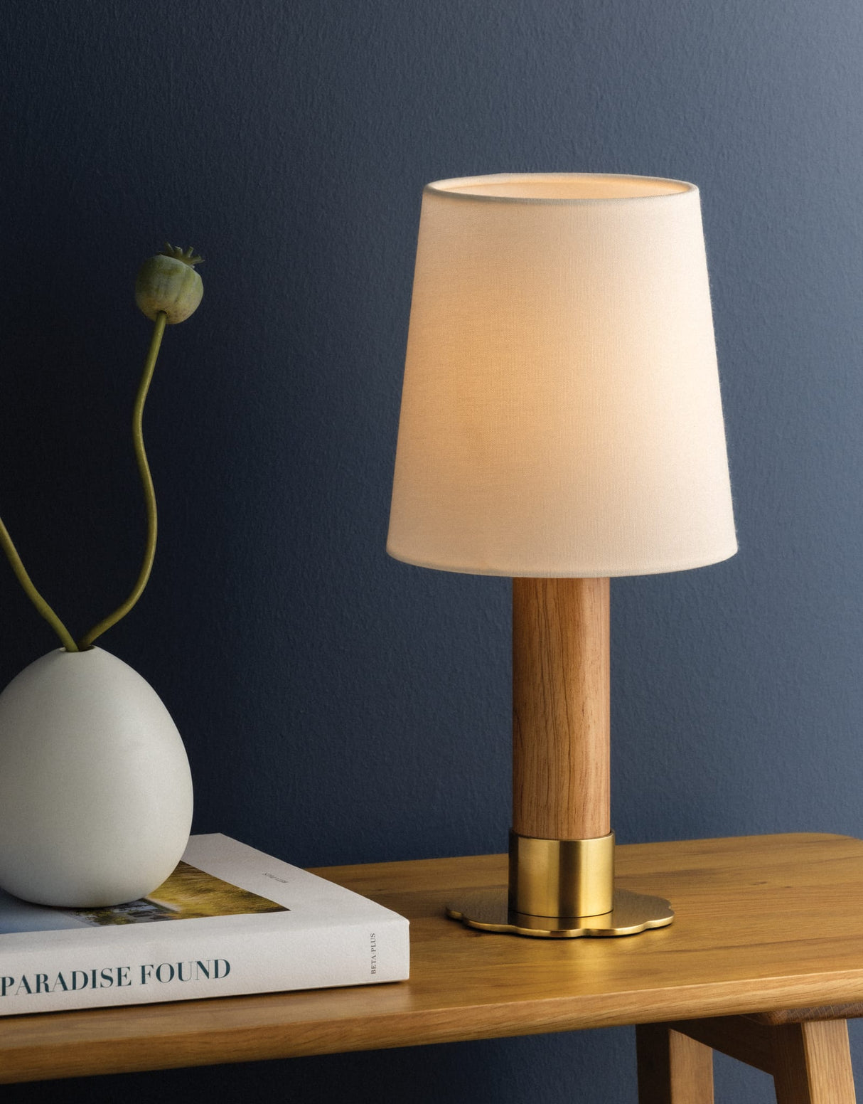 Meadowbrook Rechargeable Table Lamp Table + Desk Lamps L4321-AGB 197292789956