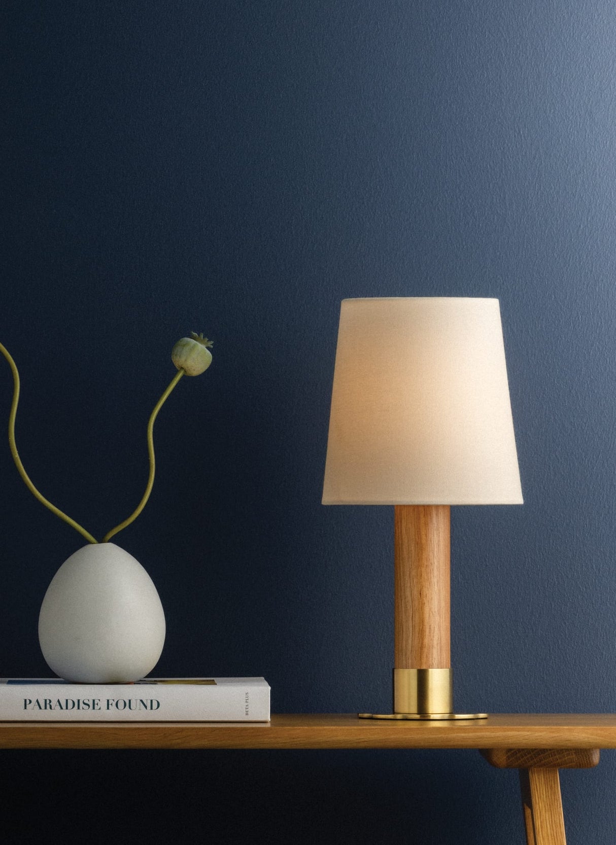 Meadowbrook Rechargeable Table Lamp Table + Desk Lamps L4321-AGB 197292789956