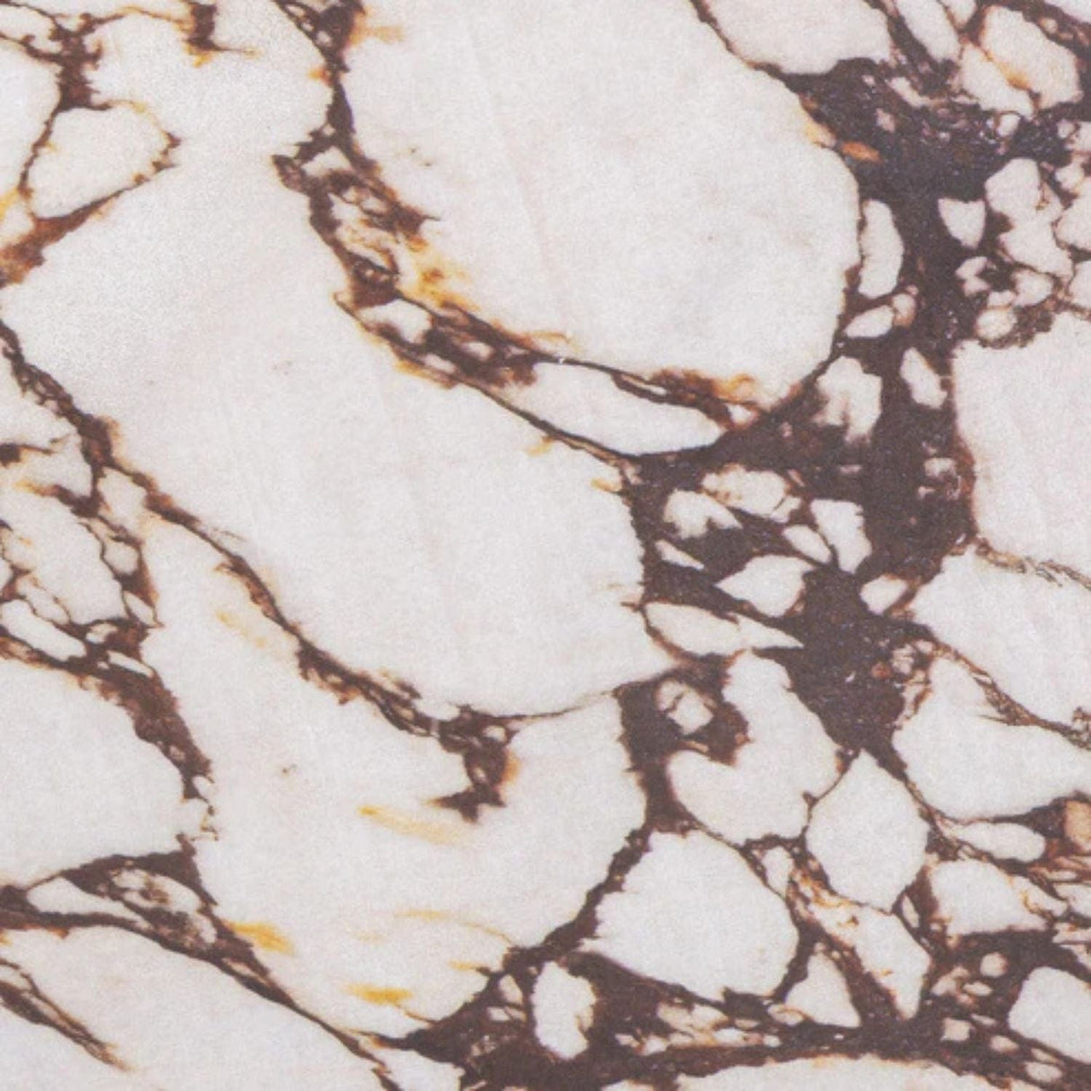 Mia Indoor/Outdoor Side Table Side Tables TOV-OC54708 793580647993