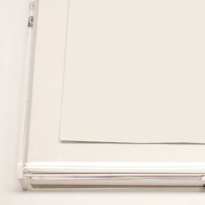 Natural Curiosities Charcoal Animal Collection, Bear Wall Art