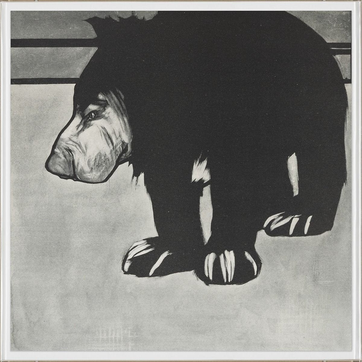 Natural Curiosities Charcoal Animal Collection, Bear Wall Art natural-curiosities-charcoal-animal-collection-bear-acrylic-box