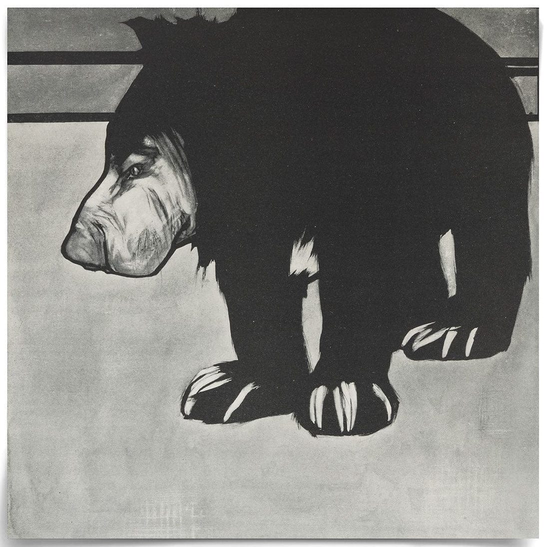 Natural Curiosities Charcoal Animal Collection, Bear Wall Art natural-curiosities-charcoal-animal-collection-bear-unframed