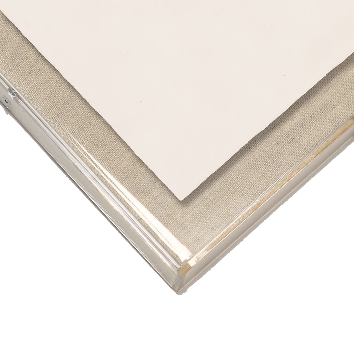 Natural Curiosities Harvey Seaweeds 10 & 12 Decor