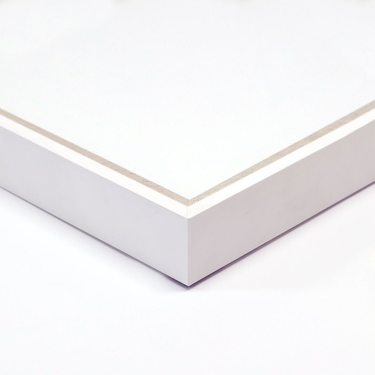 Natural Curiosities Harvey Seaweeds 10 & 12 Decor