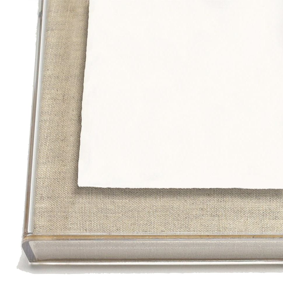 Natural Curiosities Harvey Seaweeds 10 & 12 Decor